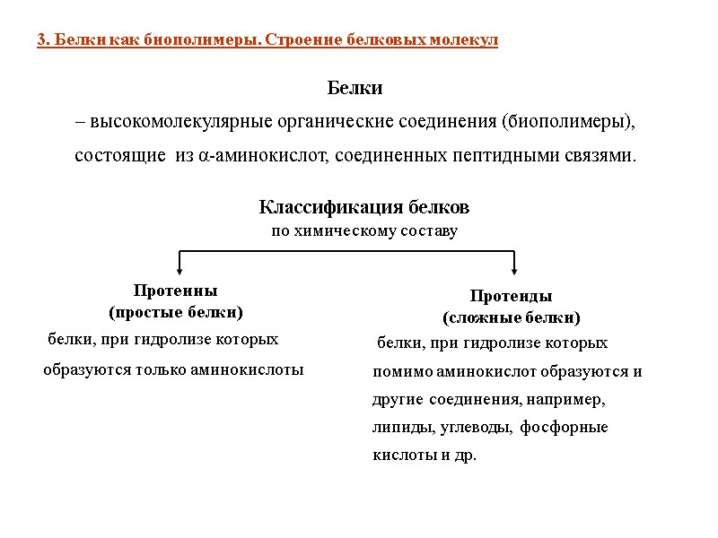 3. Белки как биополимеры. Строение белковых молекул Белки  – высокомолекулярные органические соединения (биополимеры),